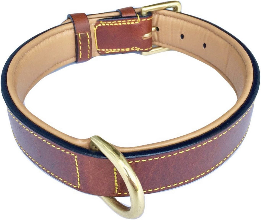 Genuine Leather Padded Dog Collar, Large Brown, 24" Length x 1.5" Width, Fits Neck Sizes 18" to 21