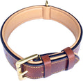Genuine Leather Padded Dog Collar, Large Brown, 24" Length x 1.5" Width, Fits Neck Sizes 18" to 21