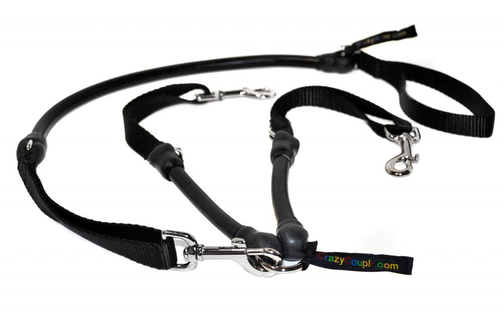 2 Dogs on 1 Leash